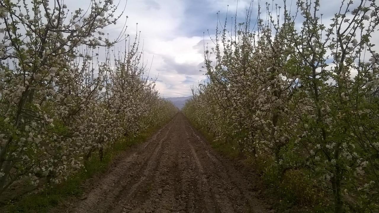 Casa De Campo Finca La Superiora La Consulta Zewnętrze zdjęcie